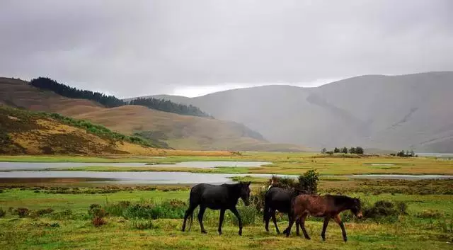 凉山新任周乃祥，与自然美景的邂逅与内心平和之旅