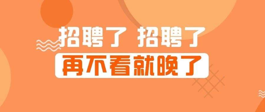 广饶长白班最新招聘，缘分与友情的职场之旅