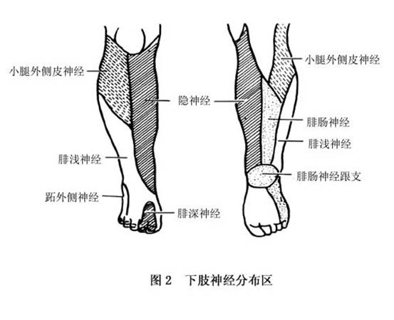 神经损伤治疗最新突破，步骤指南与恢复策略