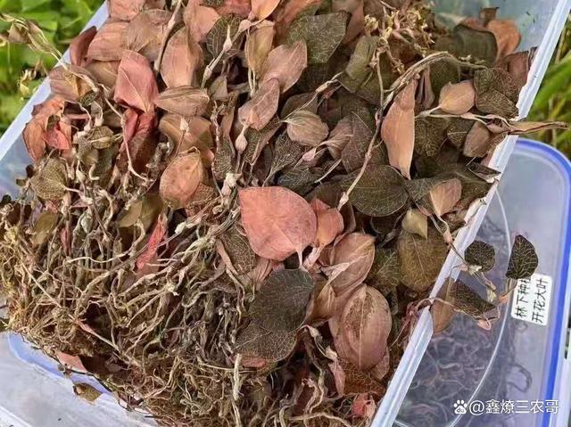 公司简介 第306页
