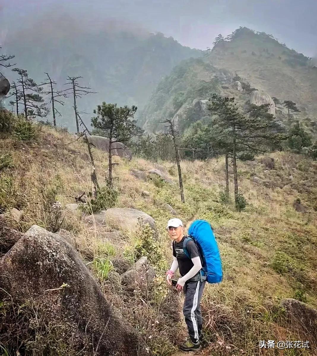 动力源股票最新行情，自然美景背后的探索之旅与投资机会分析