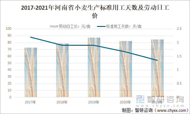 河南省小麦最新价格动态，机遇与自信的力量展现新篇章