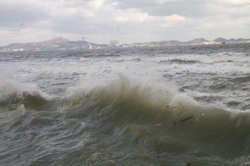 渤海天气最新风力预报，乘风破浪的励志之旅启航时刻