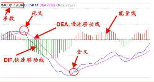 西藏发展动态更新，最新消息综述