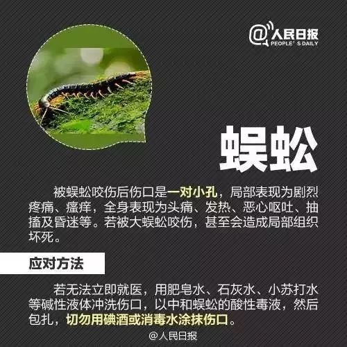 英德小虫网最新招聘，求职步骤指南详解