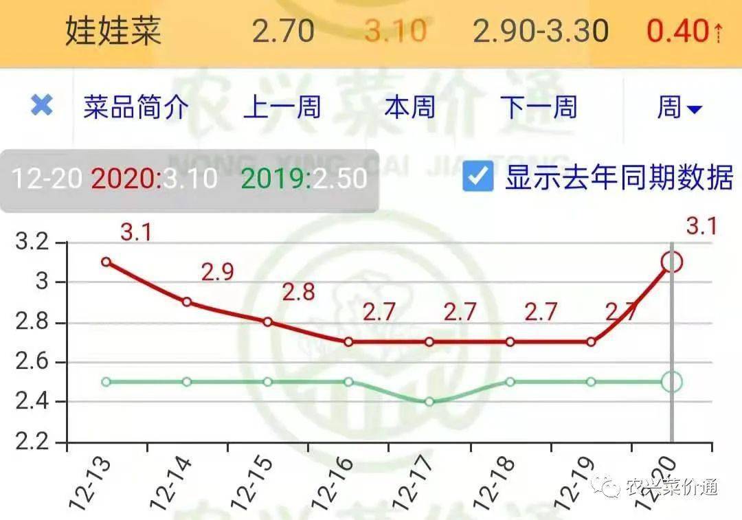 柚子最新价格概览，市场走势与观点分析