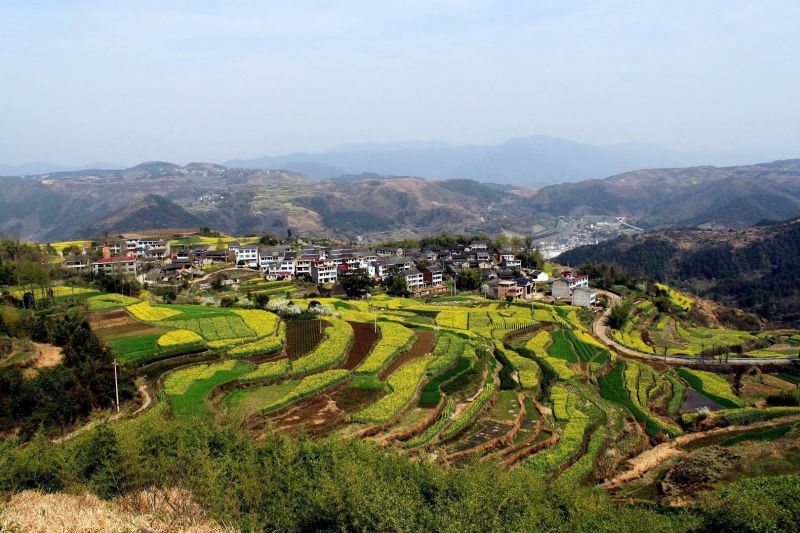 确山孟保安最新动态，自然美景的探索之旅