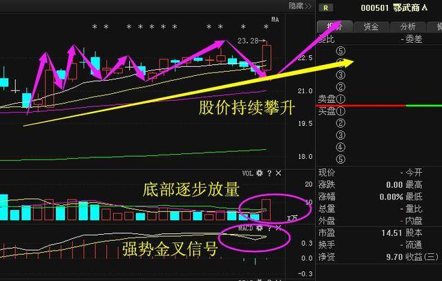 变革中的机遇