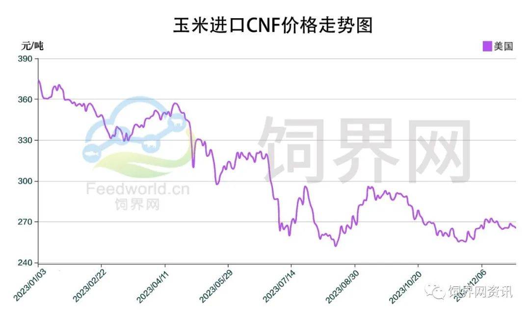 今曰玉米最新价格行情及小巷深处的玉米风情探秘