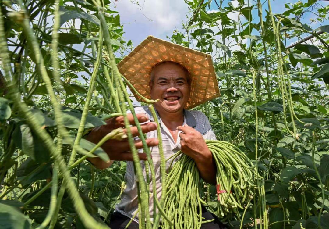 价格行情最新动态