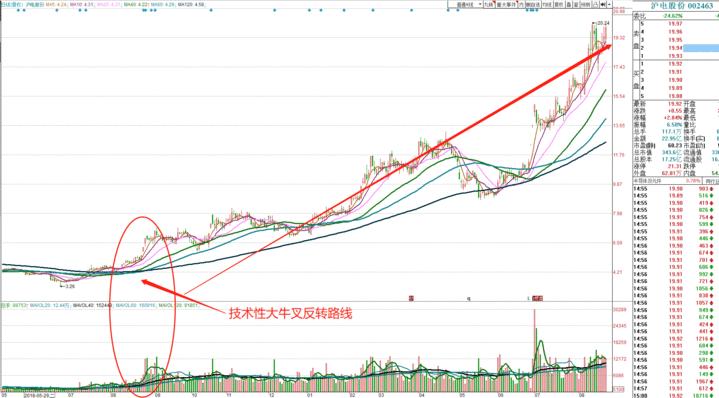 掌握股市动态，沪电股份最新消息一览