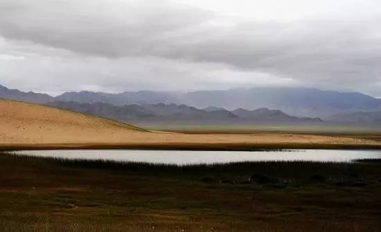 BOPP最新价格及自然美景的旅行探索